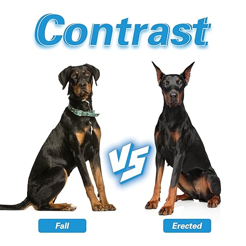 Image of Dog Ear Posting Kit, Dog Ear Stand Up Support Tool Two Ways, Dog Ear Stick Foam Tape Dog Supplies Dog Ear Fixed Correction Vertical Holder for Doberman Pinscher Dog Samoyed Corgi