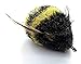 Da Bee Teaser Wand Cat Toy Replacement Lure by Go Cat