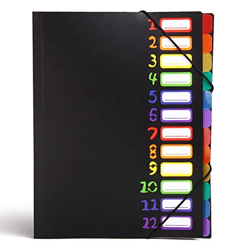 HJSMing 12 Pocket Expanding File Folder,Multi Pocket File Folders/A4 Letter Size File Organizer/Student Papers Folder Expanding Project Sorter (12 Pocket-Black)