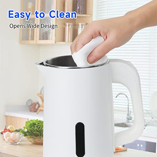 Portable kettle suitable for luggage travel