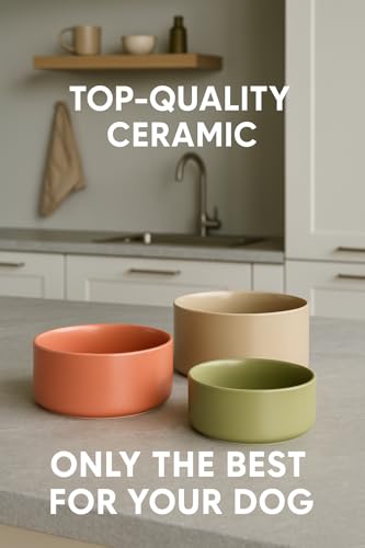 Hundenapf Keramik – hundenapf kleine Hunde – 200ml – spülmaschinengeeignet – rund beige – Flamingo Eram