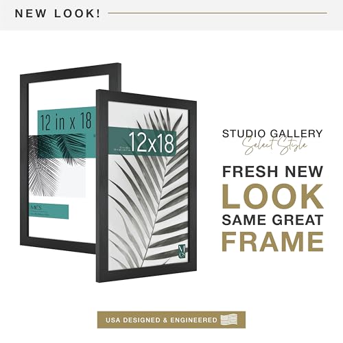 MCS Studio Gallery 12x18 Picture Frame Black Woodgrain, Rectangle Photo Frame for Photos, Posters & Art Prints (2-Pack)