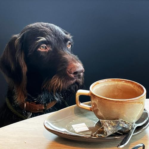 Te quedar&aacute;s dormido en 3, 2, 1... cover art