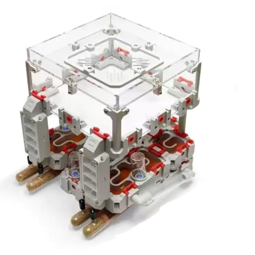 Nid de fourmis modulaire imprimé 3D (6) vivarium formicarium