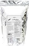 Pure L-Proline Powder a Collagen Component (500 grams (1.1 lb))