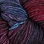 Syrah Grapes 211