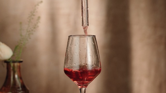 Amazon.com | Italian Wheel Wine Aerator, Italian Design Wine