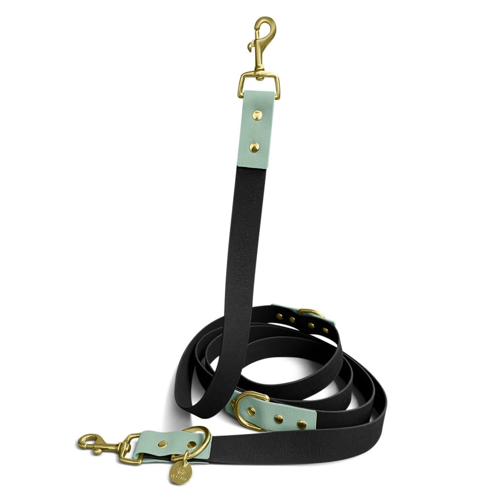 Correa para perros al aire libre, 2 mosquetones y 3 posiciones ajustables, correa para perros, correa de entrenamiento, correa de entrenamiento (negro/menta, M-L (230 cm de largo, 2,5 cm de