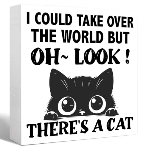 Funny Adhd Desk Decor Wood Box Sign,I Ccould Take Over