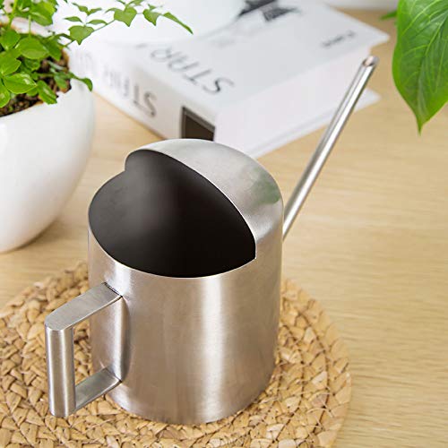 Arrosoir Plantes 300ml Acier Inoxydable - Bec Long Pour Plantes Intérieur