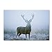 Stag by Robert Harding Picture Library, 12x19-Inch Canvas Wall Art