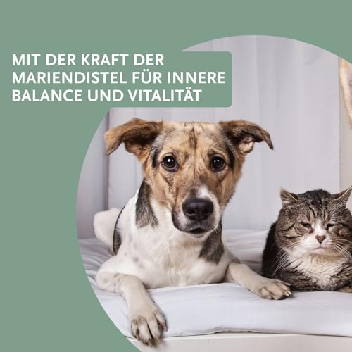 Tom&Leo Mariendistelöl Kaltgepresst 500ml - Für Hunde, Katzen & Pferde