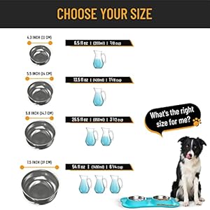 Active-Pets-Dog-Bowl-Set-Stainless-Steel-No-Spill-Mess-Proof-Food-Water-Dog-Food-Bowls-with-Skid-Resistant-Silicone-Mat-Dog-Bowls-Small-Size-Dog-Medium-Large-Pet-Puppy-Bowls-Dog-Dishes - Cucciolini Doodles   Active-Pets-Dog-Bowl-Set-Stainless-Steel-No-Spill-Mess-Proof-Food-Water-Dog-Food-Bowls-with-Skid-Resistant-Silicone-Mat-Dog-Bowls-Small-Size-Dog-Medium-Large-Pet-Puppy-Bowls-Dog-Dishes