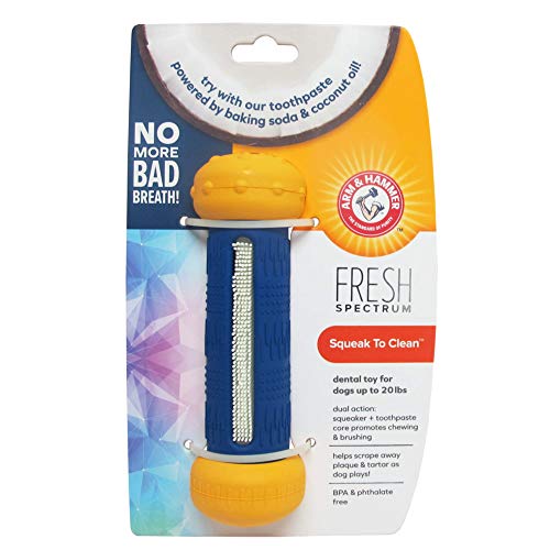 Arm & Hammer For Pets Spectrum Squeak to Clean Dental Toy for Dogs, Small | Scrape Away Tartar As Dog Plays, No More Bad Breath, Large (FF11493)