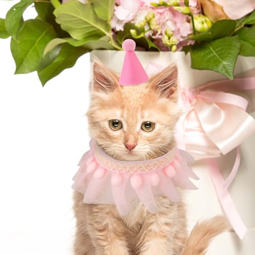 Conjunto de cachecol de chapéu de aniversário de gato rosa, bandana, gato, princesa, lindo, bandana