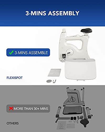 Flexispot Computer Workstation Standing Desk Exercise Bike Home Office Furniture Desk -Deskcise Pro（Black） #TOP3