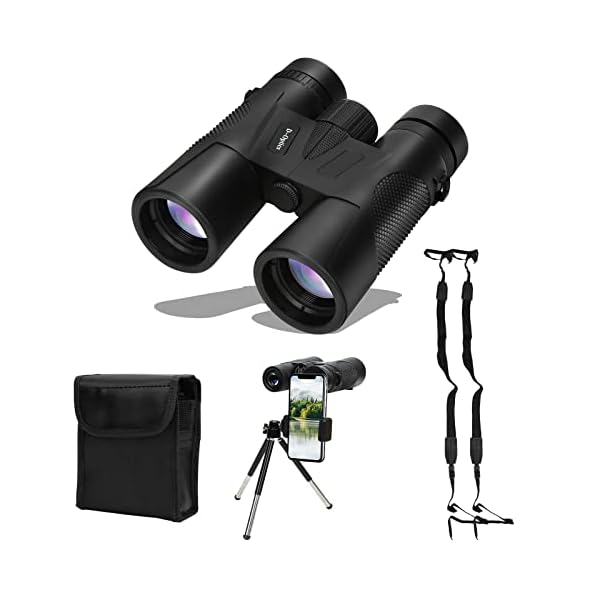 Jiubiaz Fernglas 12x42 HD für Erwachsene Kompakte Ferngläser, Wasserdicht Hochleistungs Fernglas mit Smartphone-Adapter…