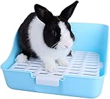 MMBox quadratischer Tiertöpfchen für Kleintiere wie Hasen, Meerschweinchen und Frettchen
