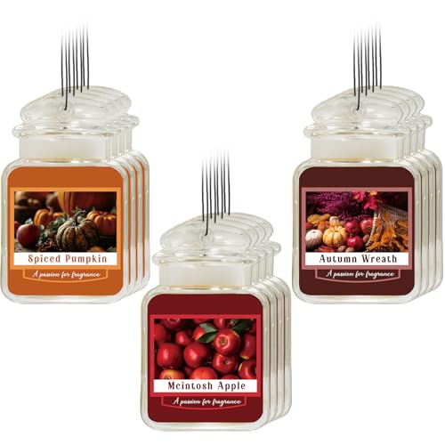Leelosp Autumn Scent Car Fresheners Jar Set