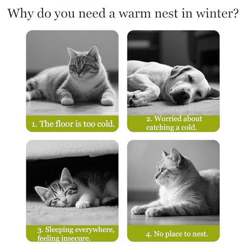 Cozy Monster Katzenbett, Haustierhöhle für Indoor-Katzen, weiches und warmes Katzenhaus Zeltbett mit abnehmbarem und waschbarem Kissen für Katzen und kleine Hunde