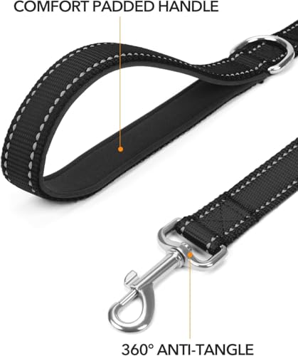 Taglory Hundeleine Mittelgroße Große Hunde Leicht | Doppelseitig Reflektierend | Gepolsterter Griff | Unterstützung 10 bis 75 kg | 1.8m x 2.5cm | Schwarz