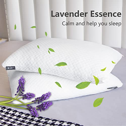 N&V Memory Foam Pillow For Sleeping - Washable Cover Lavender Scent For Back, Stomach Or Side Sleepers - Certipur-Us (Queen) #TOP4