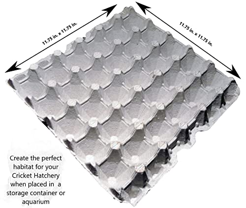 Cricket Colony Starter Kit for Feeder Crickets- 6-Egg Flats, Vermiculite, Top Soil, Screen, 1/2 LB Feed/ Food Sample, 1- Packet of Water Gel, Spray Bottle, Container, and 2 Lids (Cricket Starter Kit) - Thumbnail 7