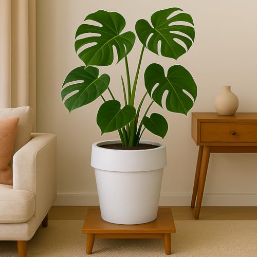 Image of Bigsmall Designed Plant Pots, Premium Durable Polymer Flower Pots for Indoor & Outdoor Plants - Lightweight, Stylish, and Weather-Resistant Garden Planters (Stemma-White Stone, 24 Inch)
