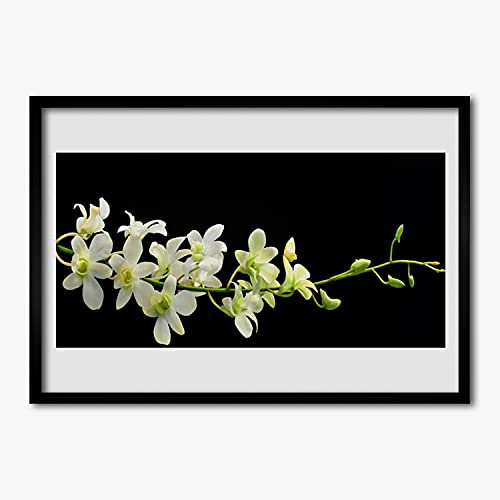 Affiche encadrée Tulup 70x50 cm avec cadre en MDF motif nature et fleurs