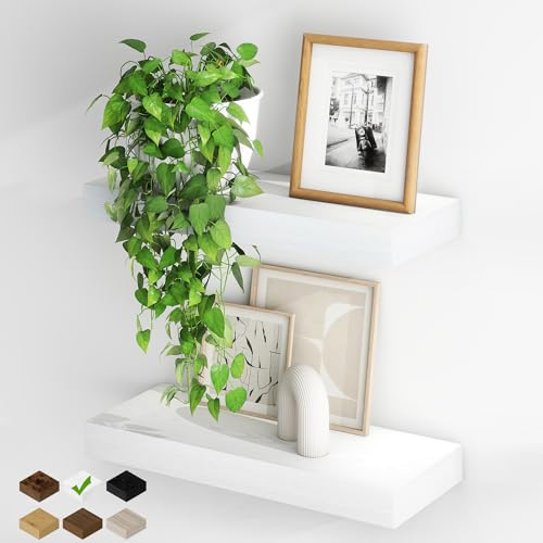 Fun Memories Floating Shelves for Wall, 20Inch Floating Shelves Set