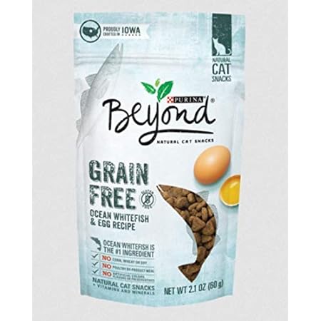 beyond cat treats