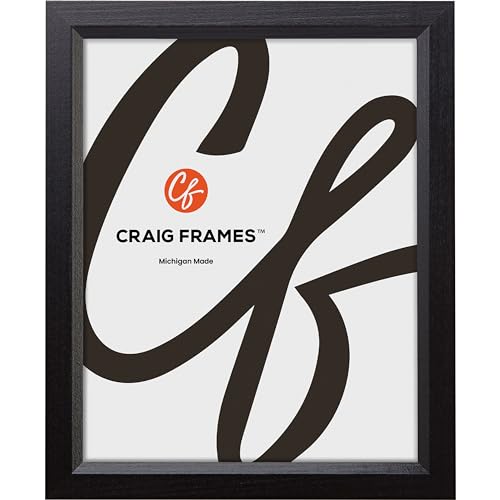 Craig Frames 28x32 Black Poster Frame, Wall Decor for Posters and Photos