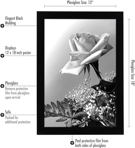Americanflat 12x18 Poster Frame with Polished Plexiglass - Black Picture Frame - Wide Photo Frames Made of Engineered Wood for Vertical or Horizontal Wall Display - Epic Collection - Black