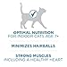 Purina ONE High Protein, Natural Senior Dry Cat Food, Indoor Advantage Senior+ - 7 Lb. Bag