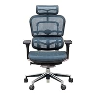 Amazon.co.jp: メーカー組立完成品 エルゴヒューマン ベーシック