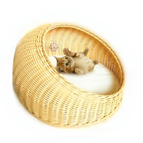 Jshigogo ybg̑ h[^ ҂݂ H|i I[V[YΉ ȃpbht N[}bg ^ vX`bN tbV ʋC ȒP Lƌɔėp (M,ItzCg + \tgNbV + ppbh)