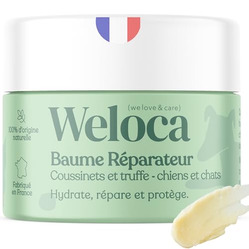 Baume Coussinet chien - Répare, hydrate, Protège - Pouvoir cicatrisant pour des coussinets abîmés, secs ou fissurés - Crème protection coussinet et truffe - 100% Naturel - 50 ml - Fabriqué en France