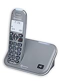 amplicom powertel 1700 telefono dect identificatore di chiamata grigio