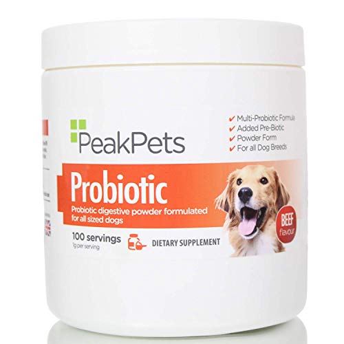best probiotic for dogs uk