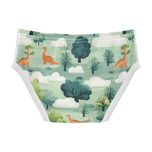 Wusikd Dinosaurs Boys' Underwear Cotton Clouds Tree Boys Briefs Soft Toddler Underwear 2T2
