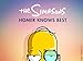 The Simpsons: Homer Knows Best