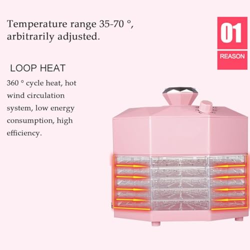 PAHION 5 Regale Dörrautomaten Dörrgerät Dörrautomat Dehydrator 8-Gang Einstellbarer Thermostat Temperaturregler Fruit Jerky Dehydrator Für Obst, Gemüse, Fleisch, Hundeleckerlis – Bild 7