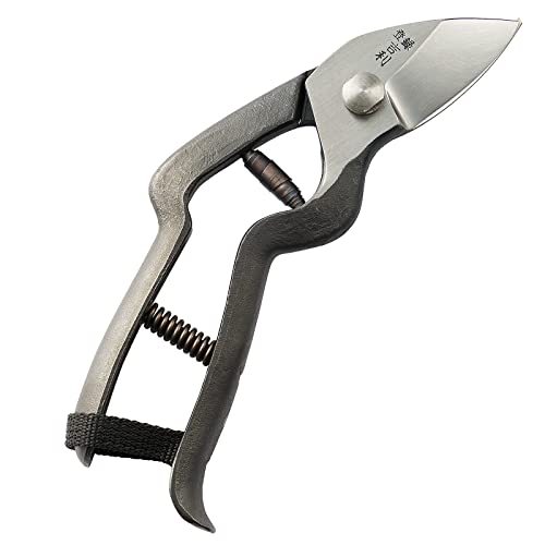 g  Ìy^ސ Y { VO  vdl bEl̎葢 vdl  ʎ̙