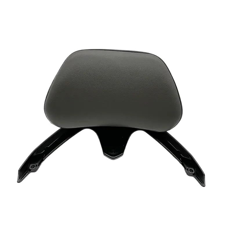 Dossier passager arrière T-MAX 530 cadre de support et coussin de siège