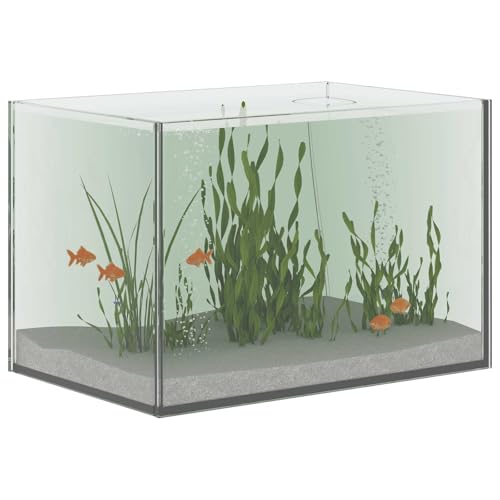vidaXL Aquarium avec Stockage Transparent 30 x 20 x 20 cm Verre, Un Design rectangulaire Moderne et résistant pour la Maison ou Le Bureau, offrant Style et durabilité dans des espaces Pratiques.