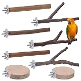 Biamaleu 8pcs Pájaros Perchas Cacatúas Soporte de Percha de Madera Periquitos Juguetes Perchas Jaula de Pájaros Juguetes y Accesorios De Madera para Pinzone Ninfas Agapornis Loros