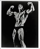 Größe: ca. 25,4 x 20,3 cm ARNOLD SCHWARZENEGGER AUTOGRAMM, GLÄNZEND, GLOSSY PHOTO PRINT