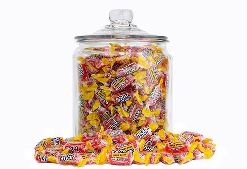 Watermelon Jolly Rancher Hard Candy Bulk - Individually Wrapped All Pink Watermelon Jolly Ranchers Hard Candy - by Queen City Candy Cave (1 Pound)