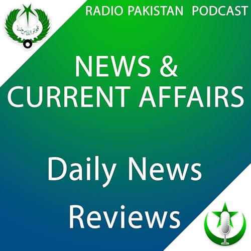 Daily News Reviews Titelbild