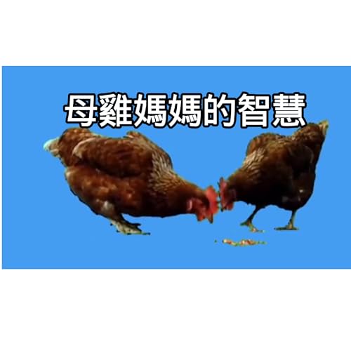 Page de couverture de LS12 雞媽媽的智慧
